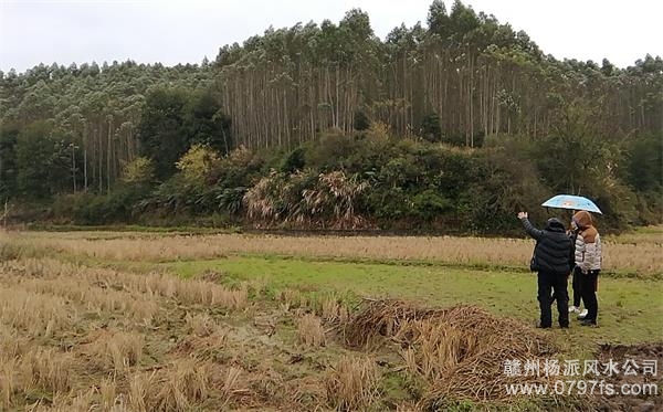 武威市陈老师带着爱徒寻龙点穴